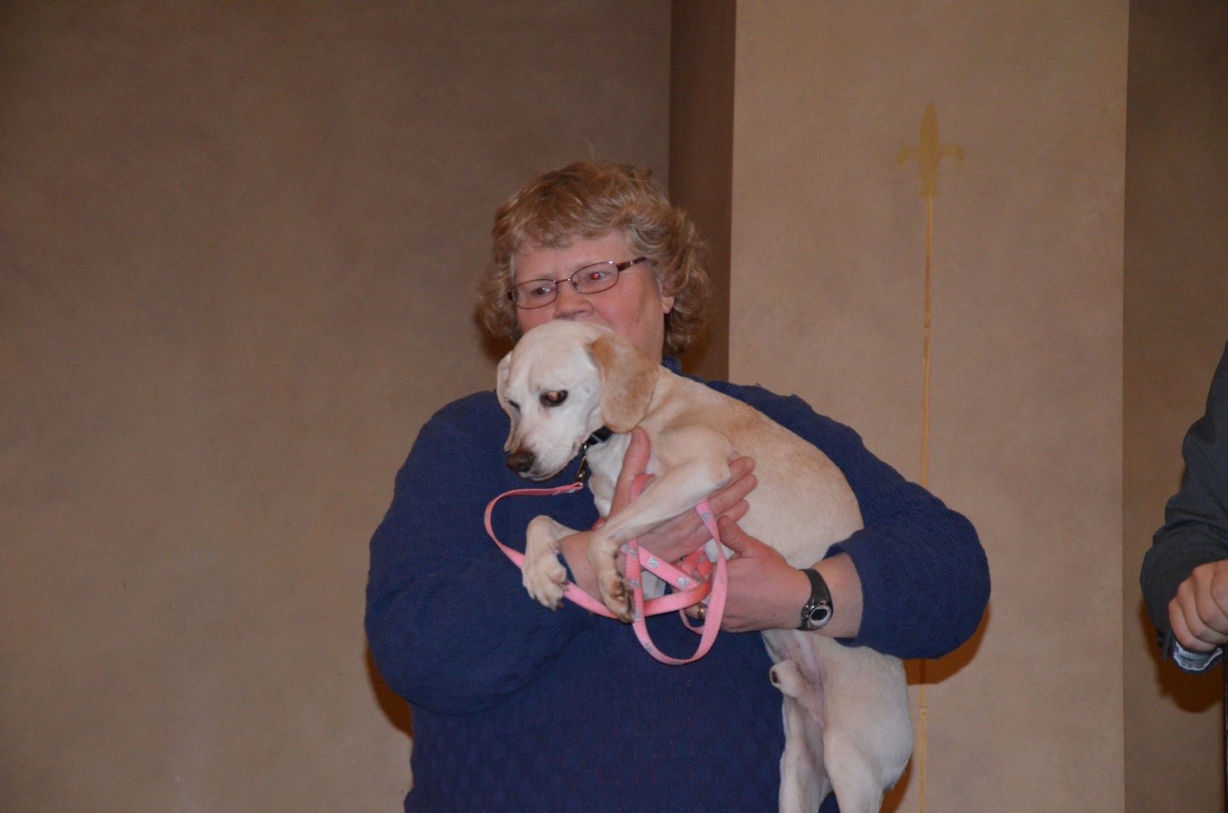 Humane Indiana Gala